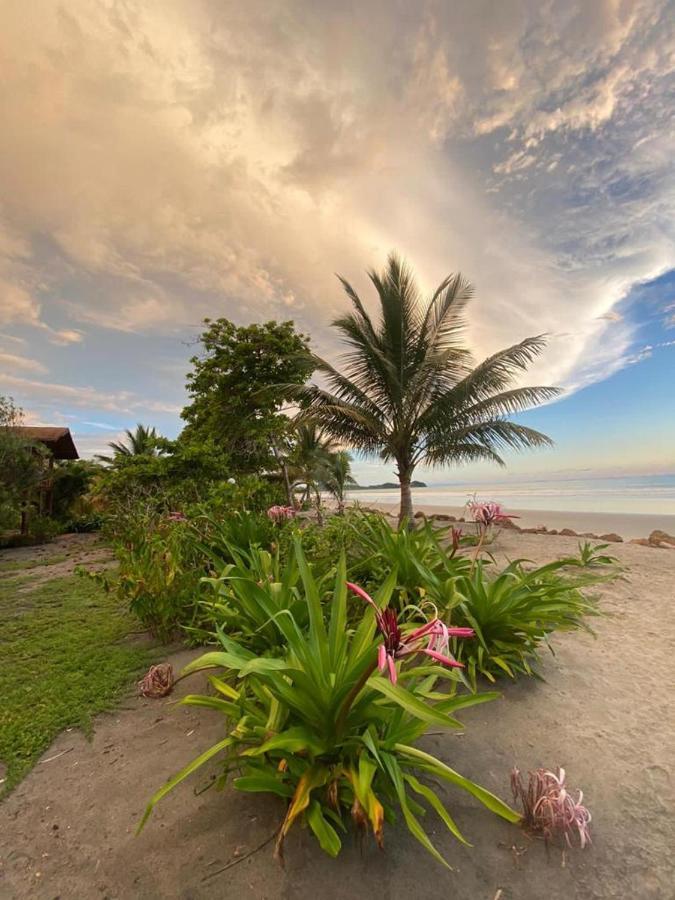 Mompiche Island Hostel Exterior photo